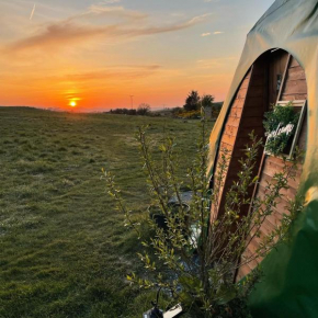 Pant y Rhedyn Glamping and camping site